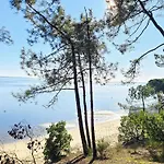 Superbe Avec Piscine Chauffée Entre Bassin Et Océan - Fr-1-736-58 *