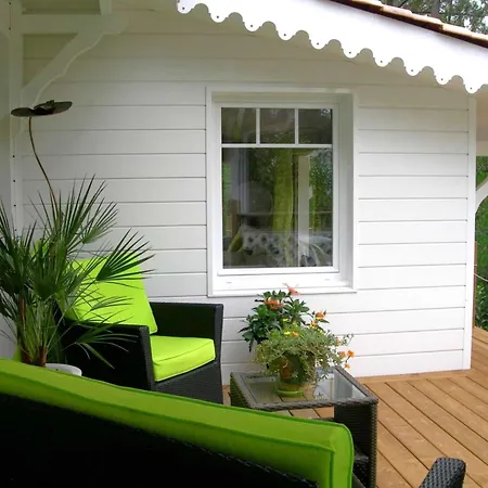 Superbe Avec Piscine Chauffee Entre Bassin Et Ocean - Fr-1-736-58 Villa *
