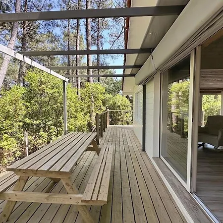 Superbe Avec Piscine Chauffee Entre Bassin Et Ocean - Fr-1-736-58