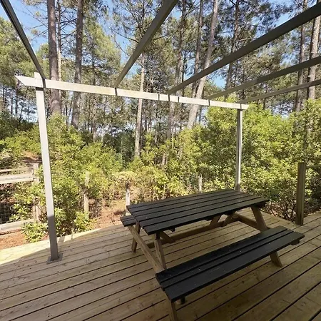 Superbe Avec Piscine Chauffee Entre Bassin Et Ocean - Fr-1-736-58 Villa Lège-Cap-Ferret