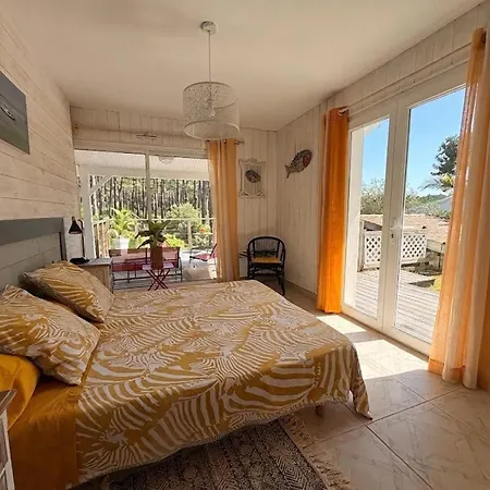 Villa Superbe Avec Piscine Chauffee Entre Bassin Et Ocean - Fr-1-736-58